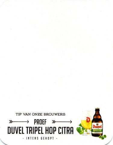 puurs va-b duvel duvel hop 1-5b (recht230-proef duvel tripel)